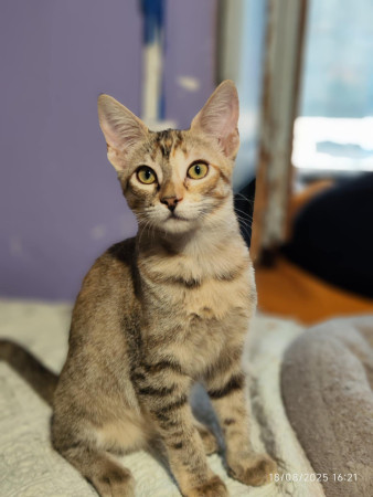 Nora 