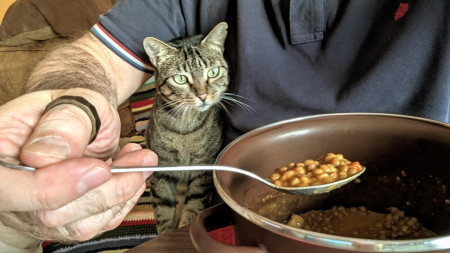 pili