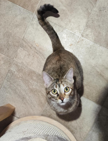 Nora 
